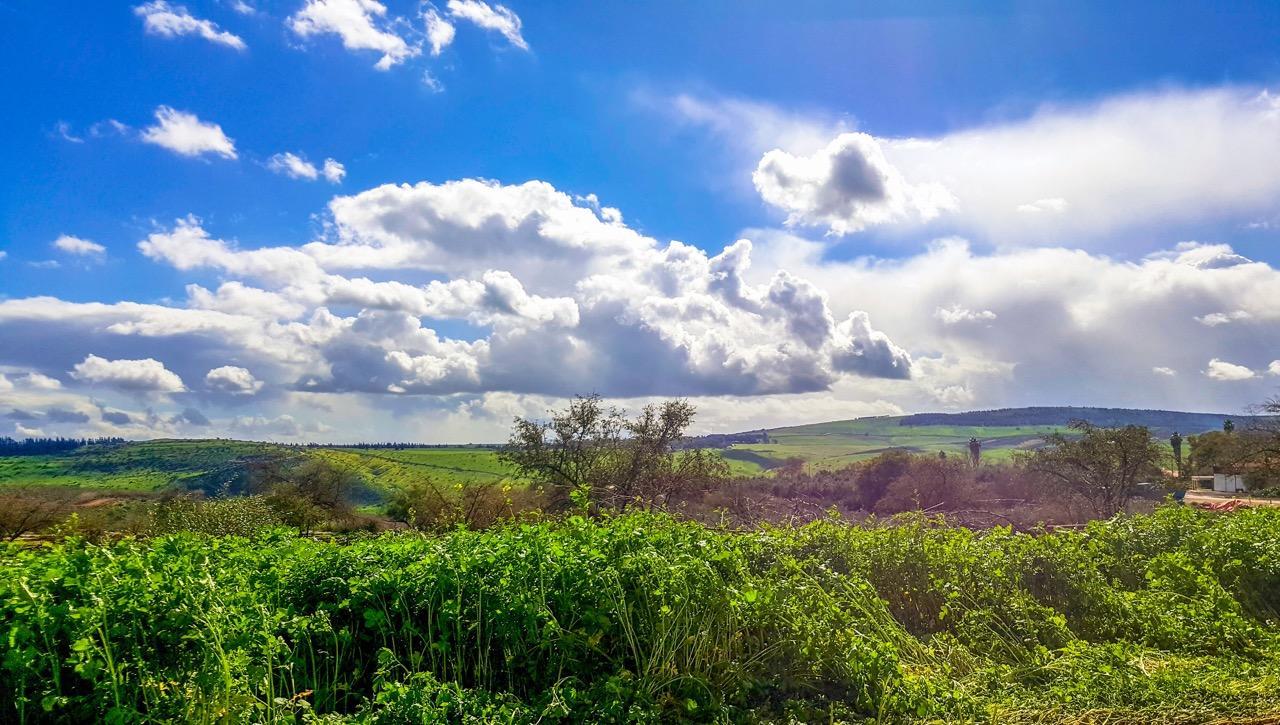 Berale Villa Kefar Kish Dış mekan fotoğraf